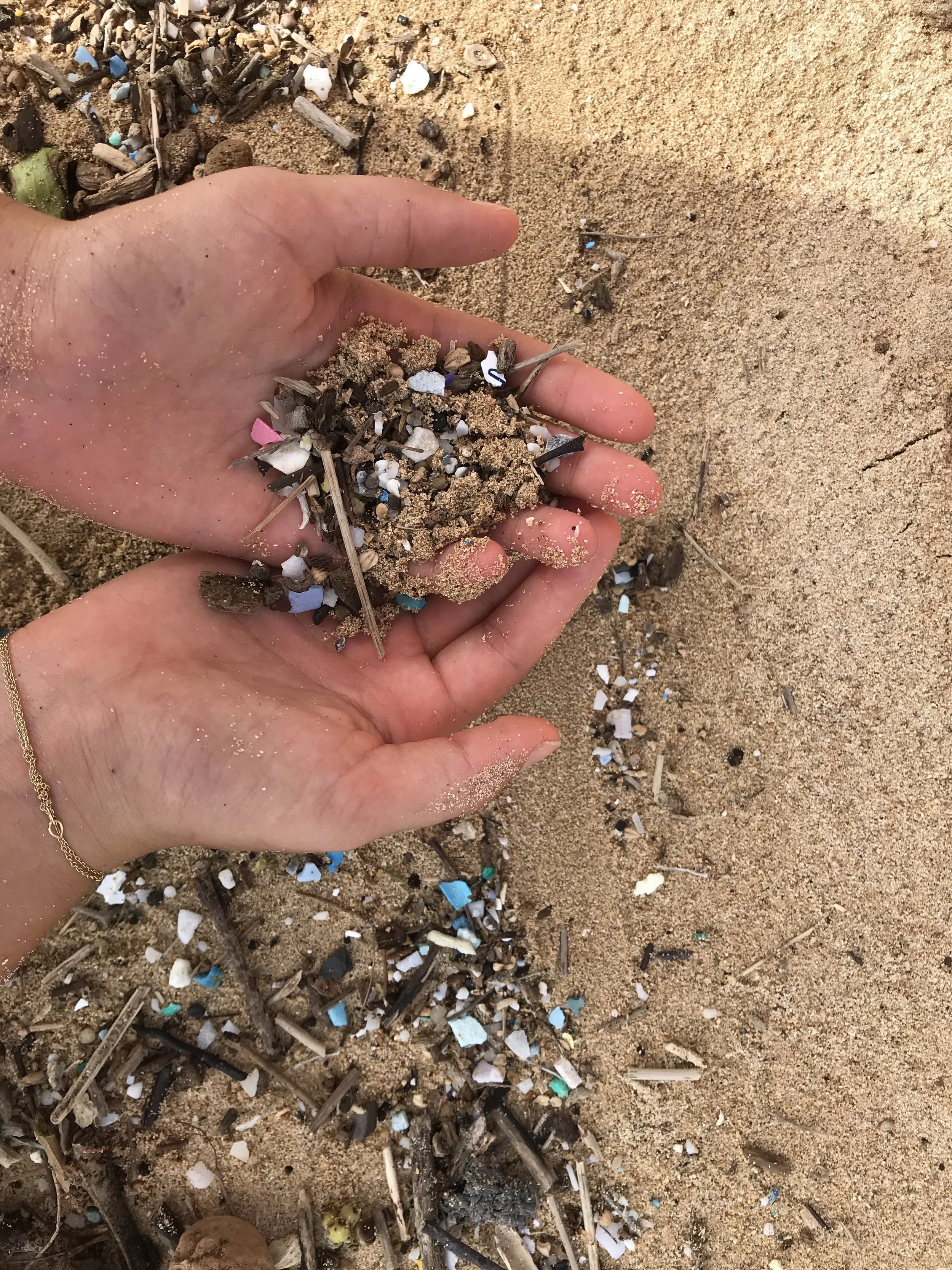 Toxic Times: The Little Known Impact of Plastic on Marine Life