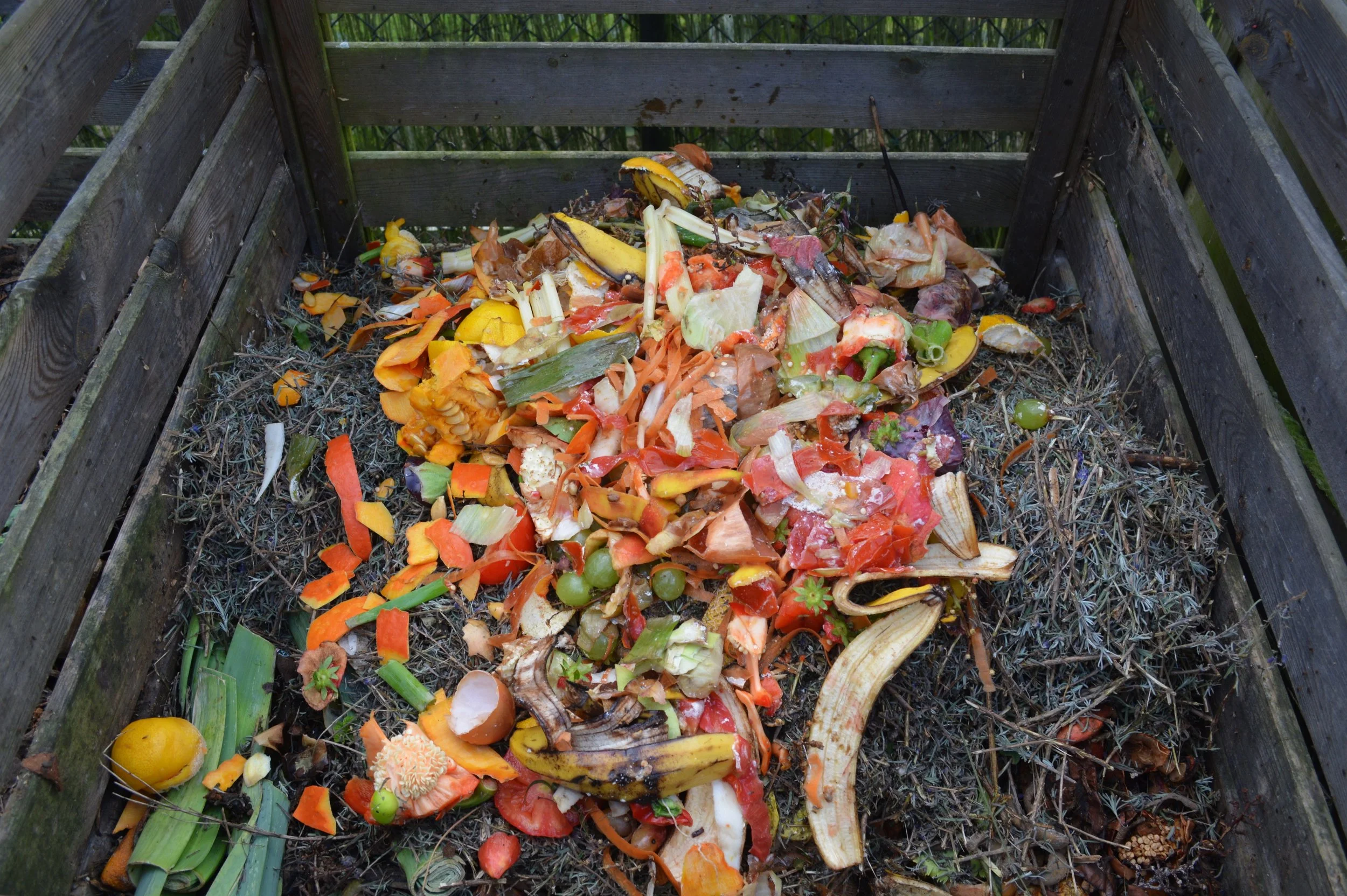 Putting your ‘biodegradable’ plastics in your home compost won't do much, but you might be able to put them in your commercial compost bin. Photo: Pixabay