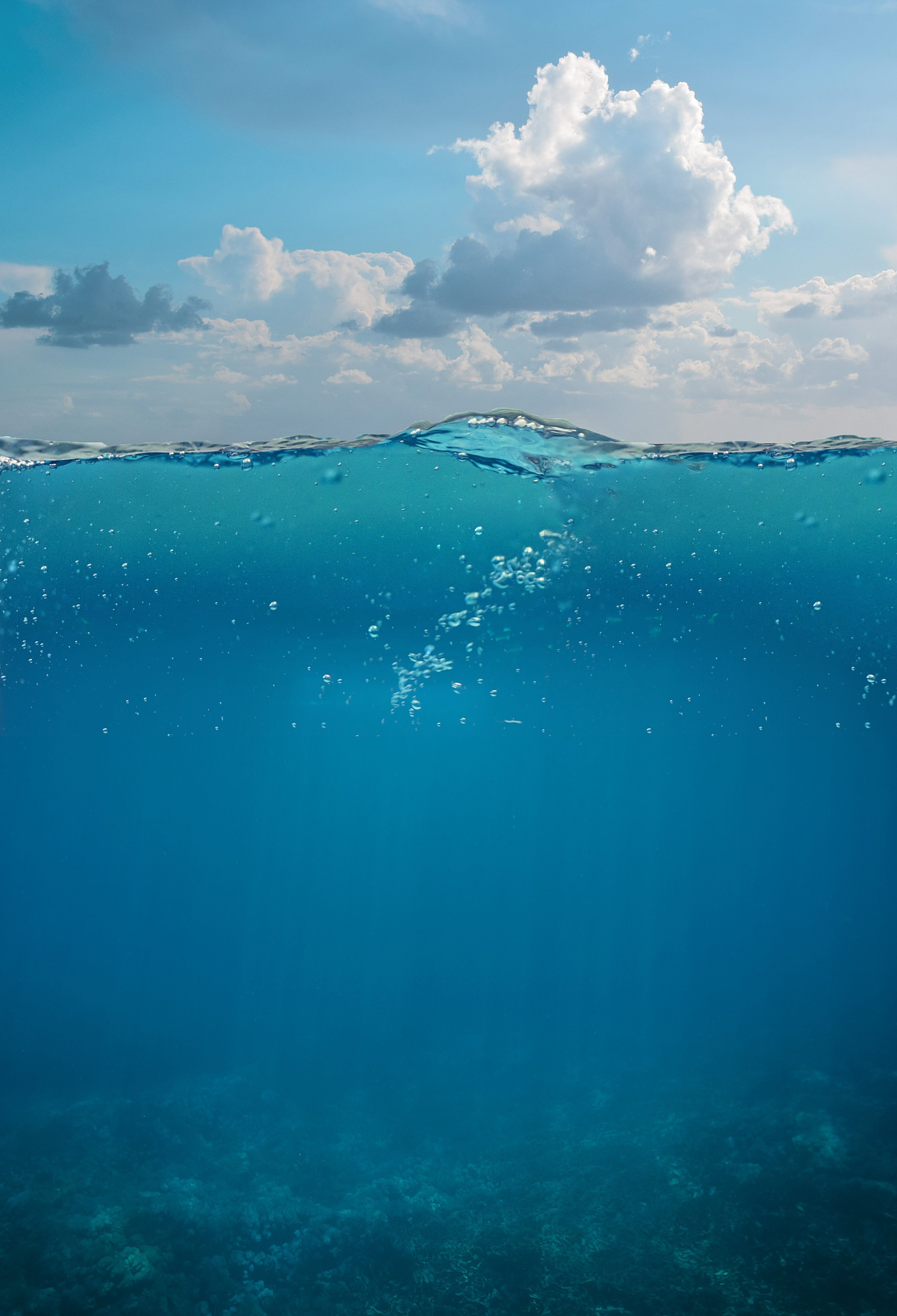 The Dangers of Deep Sea Mining