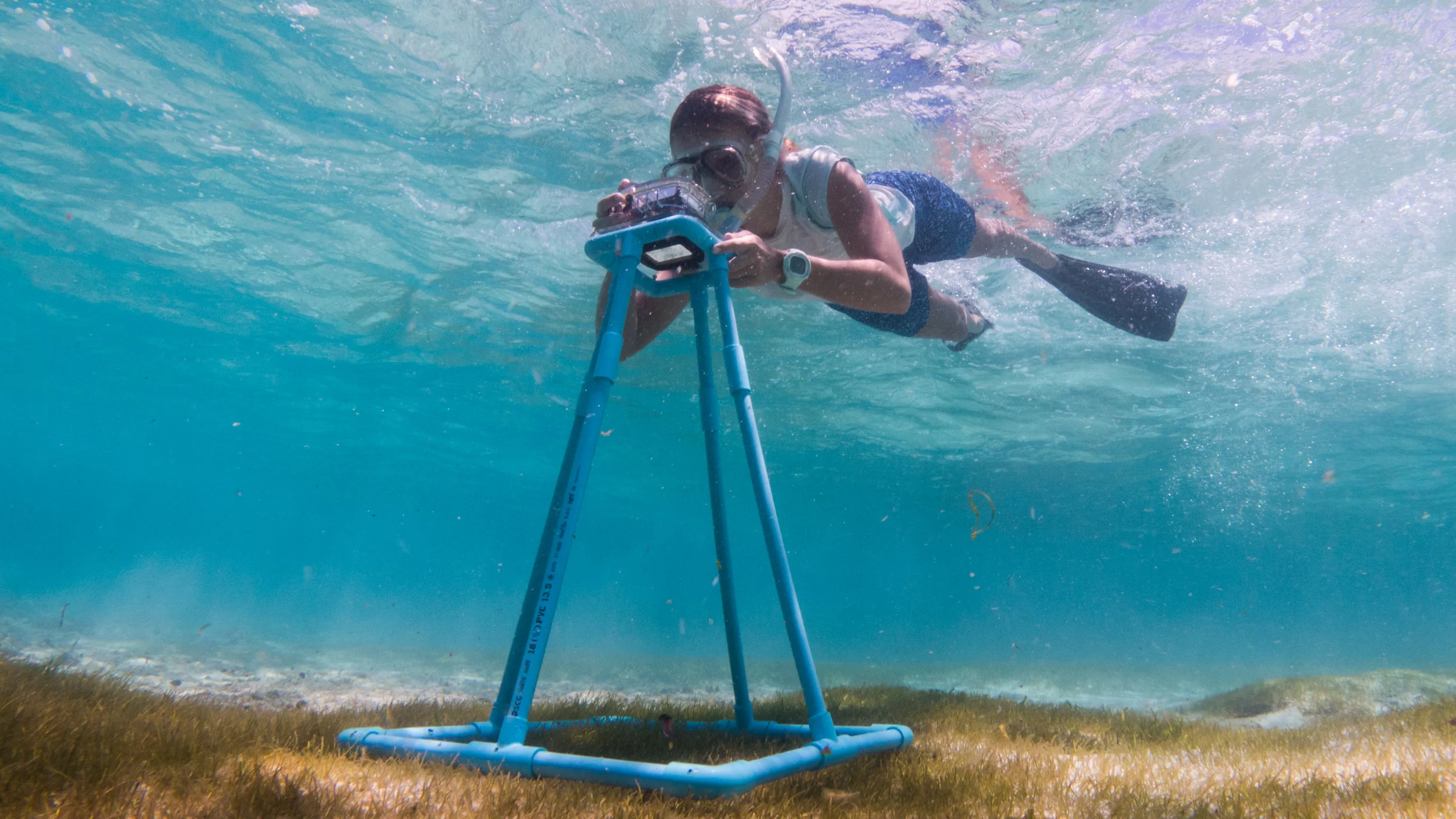 Into The Industry: Maldivian Resort Marine Biologist