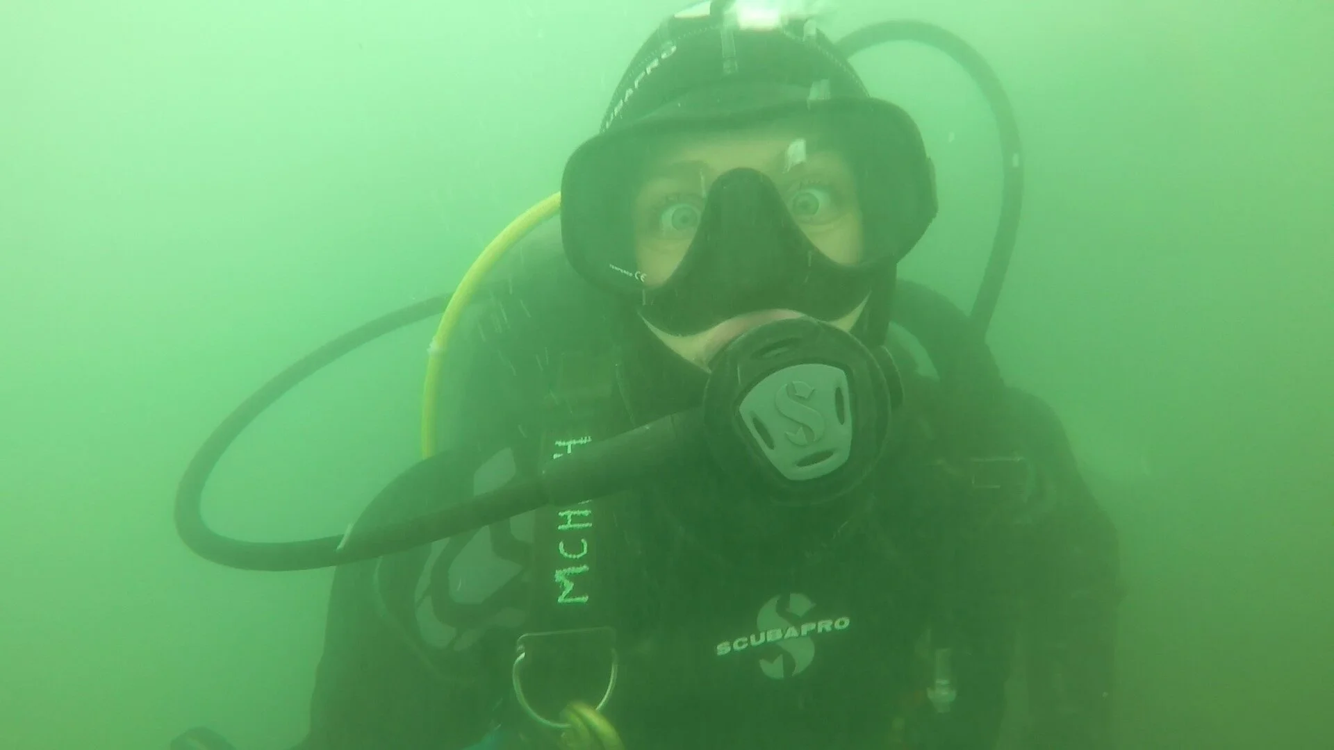 Tristin always keeps her eyes peeled and speaks up if she sees something out of the ordinary underwater (a.k.a. rare species!) Photo: Tristin McHugh