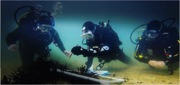 Conducting quadrat surveys. Photo: Cape RADD