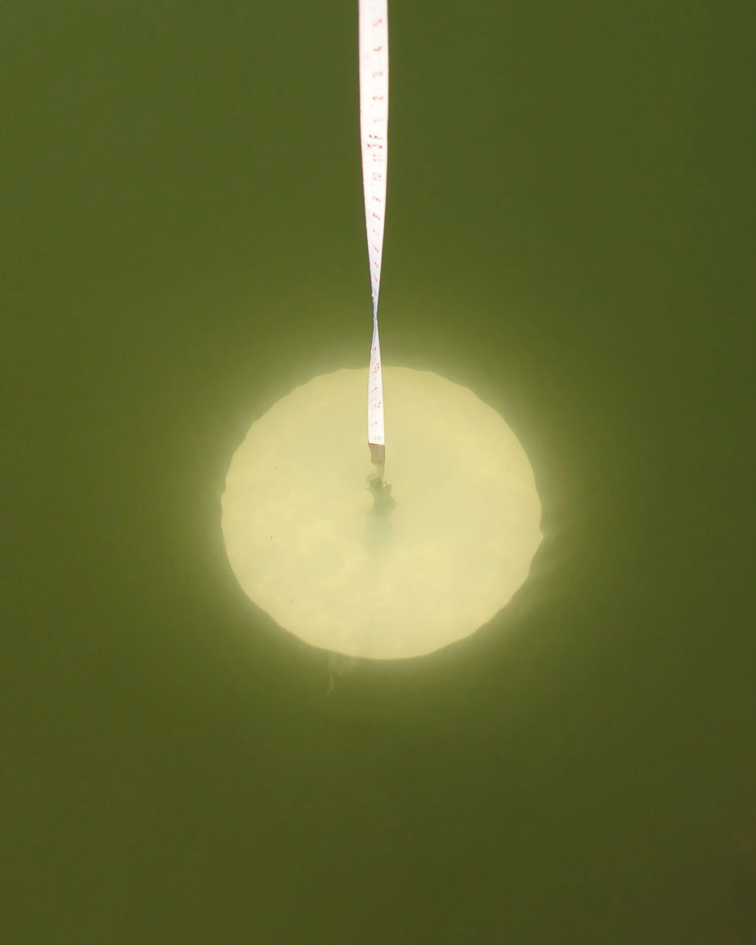 When the disk is lowered into the water, the depth at which the disk disappears is called the Secchi Depth. Photo: Richard Kirby