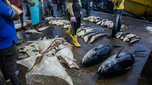 Will you join #FishFreeFebruary ?