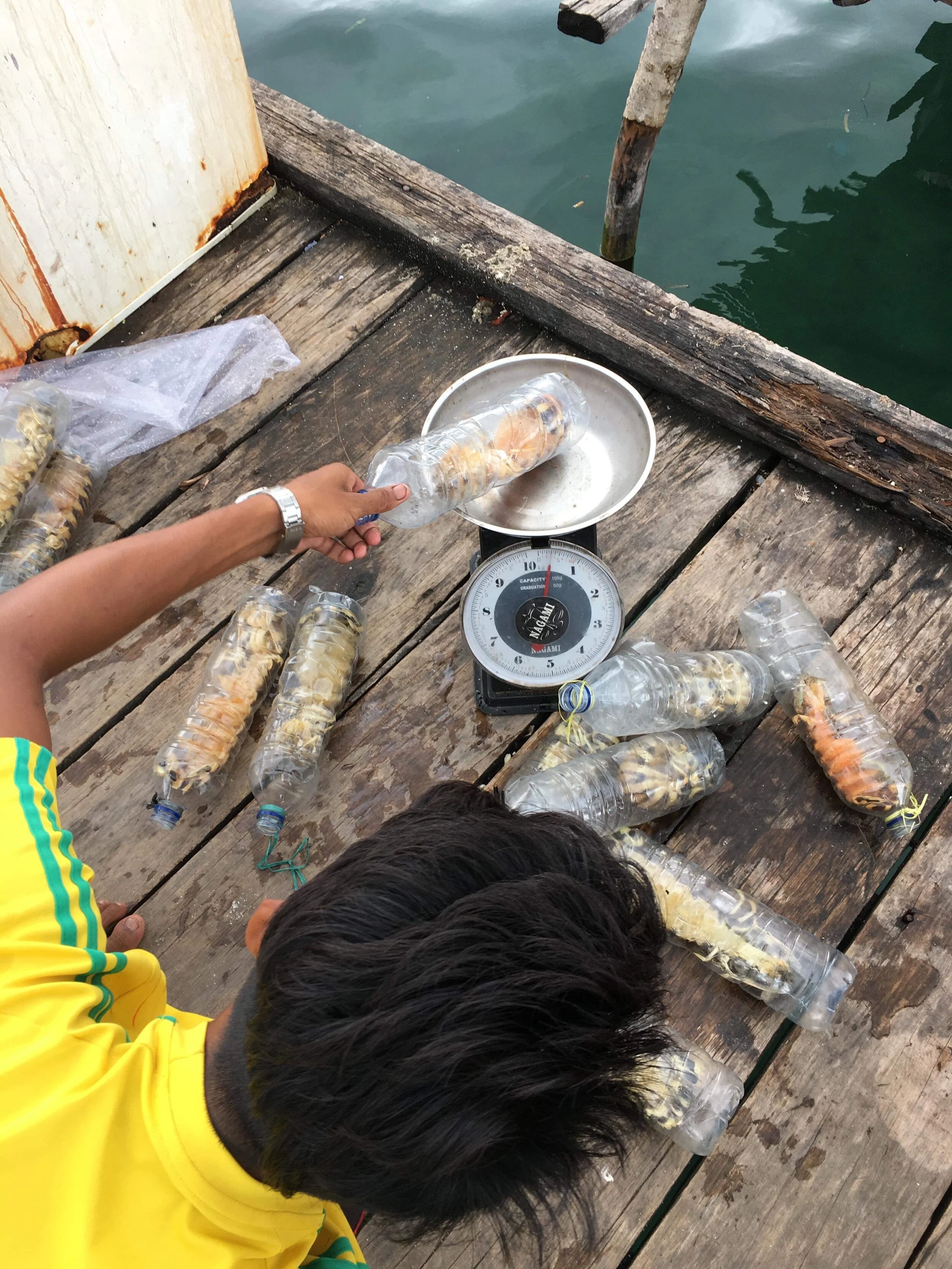 Bajau 4.jpg