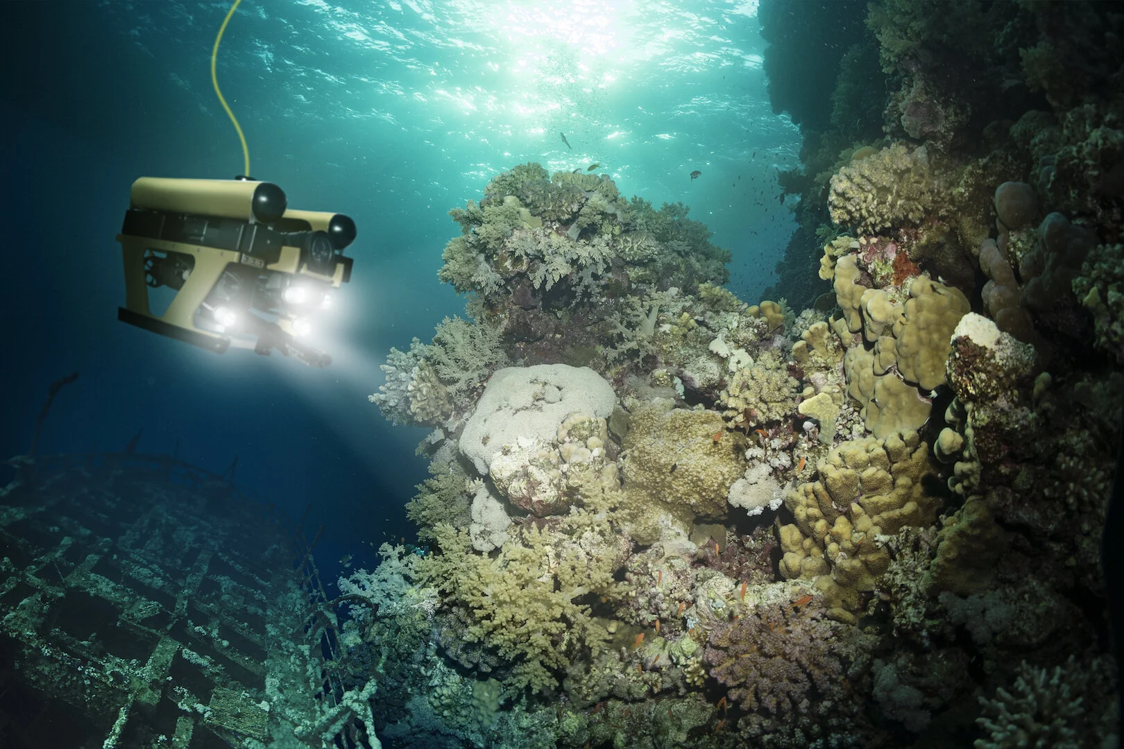 No sunlight? No symbiote? No problem!