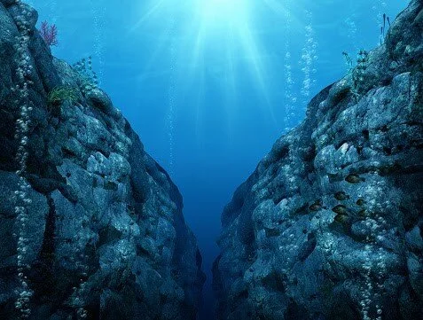 Thrown in at the Deep End
