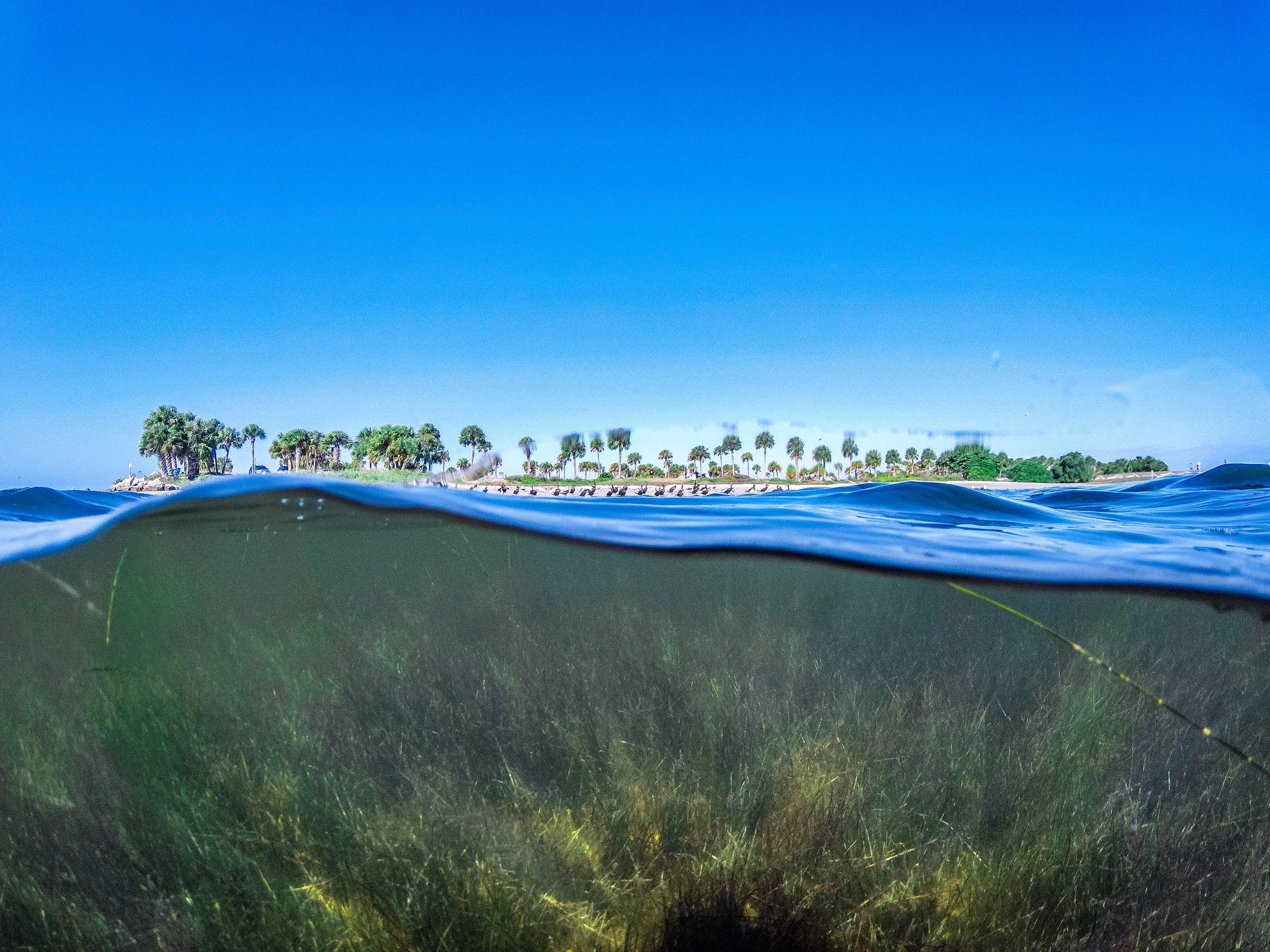 Blue Carbon: Turning Black Smoke Into Blue Diamonds