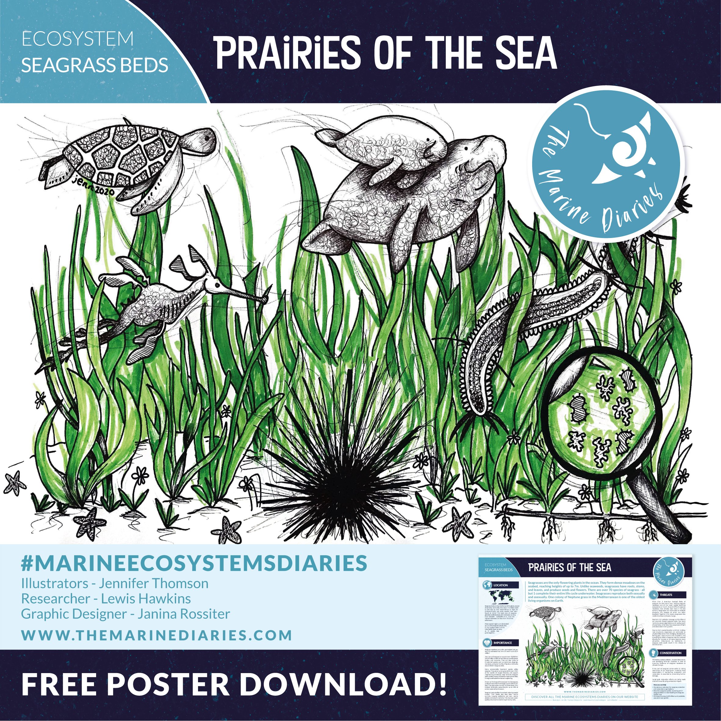 Seagrass Poster Promo_RGB_corrected.jpg