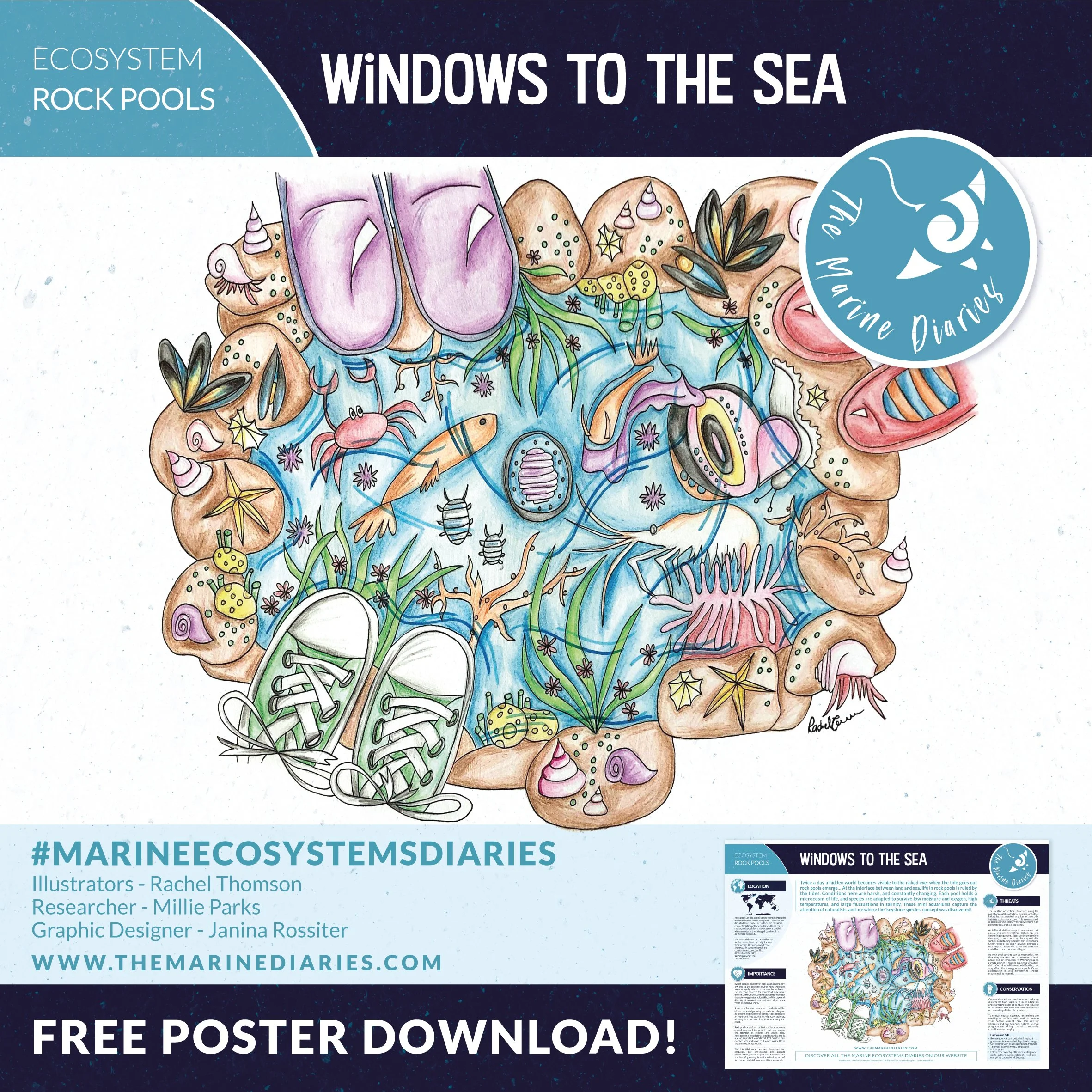 Rock Pools Poster Promo_RGB.jpg