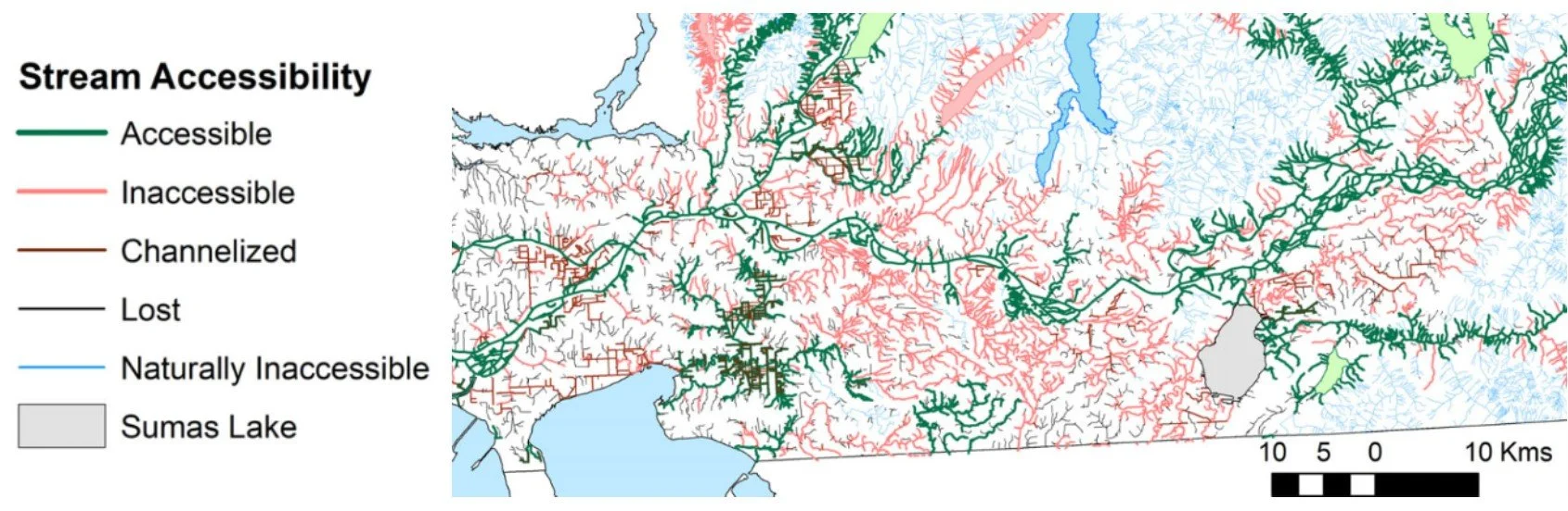 Stream accesibility