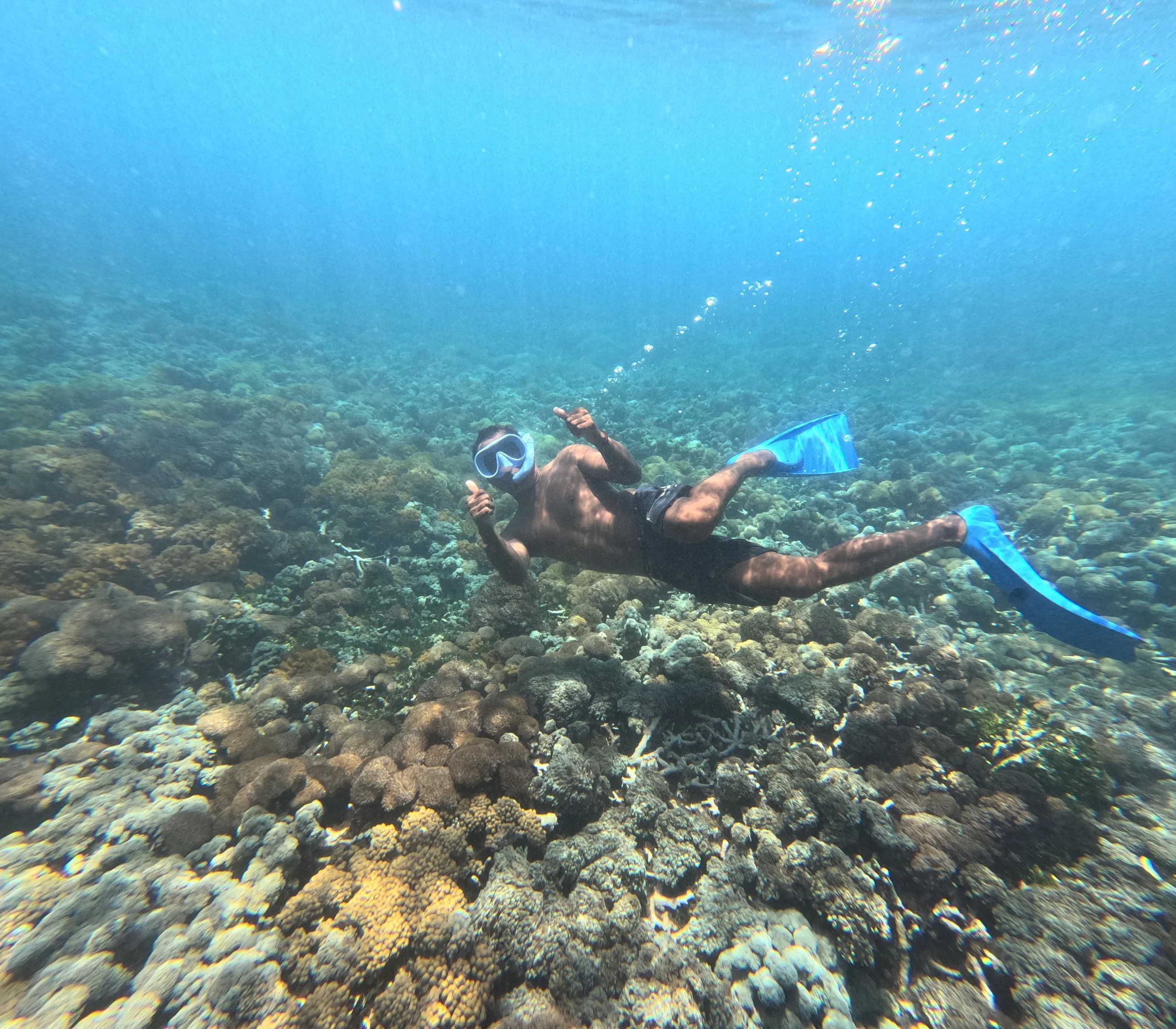 A new kind of marine tourism operation in Indonesia