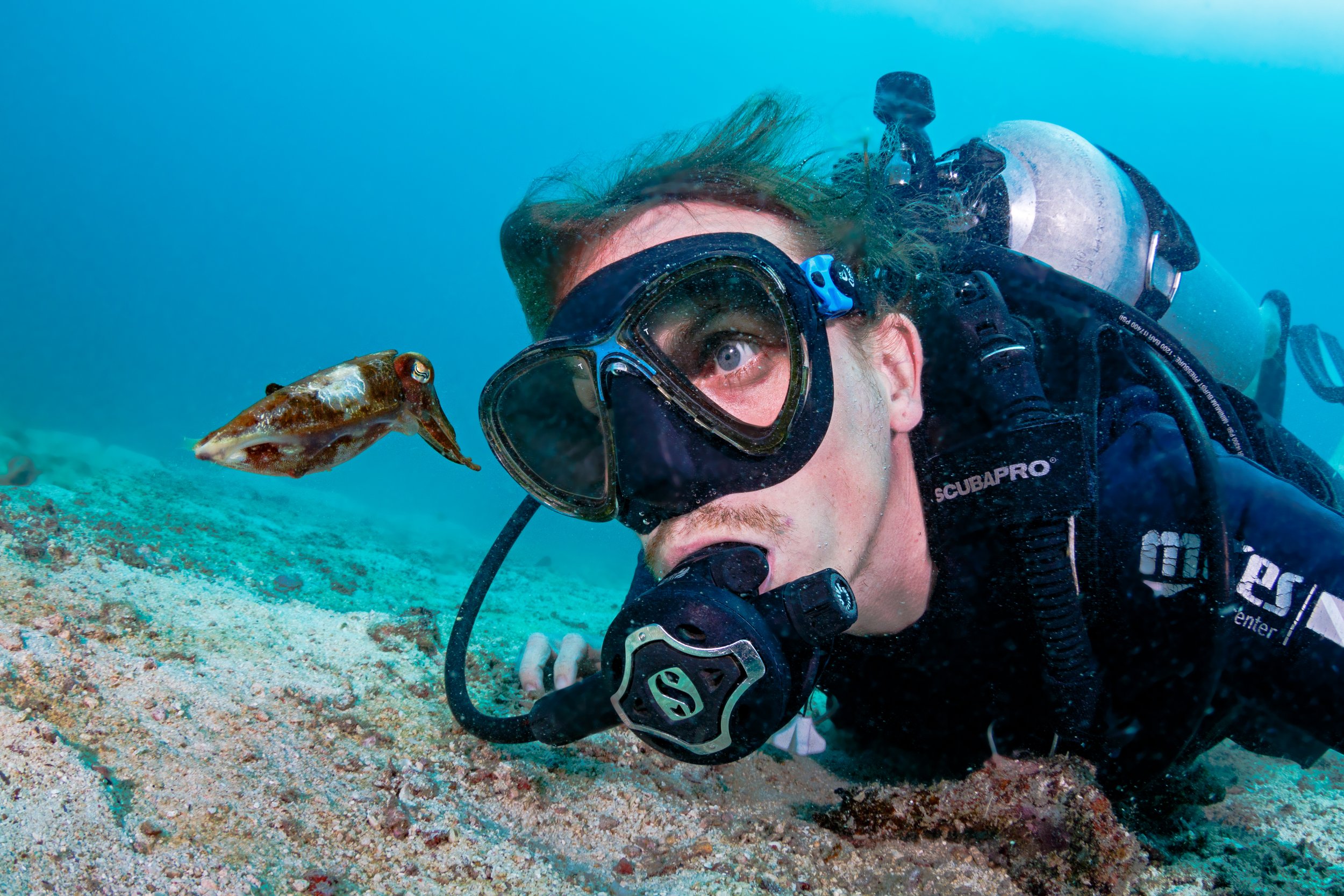 OceanImageBank_GrantThomas_09.jpg