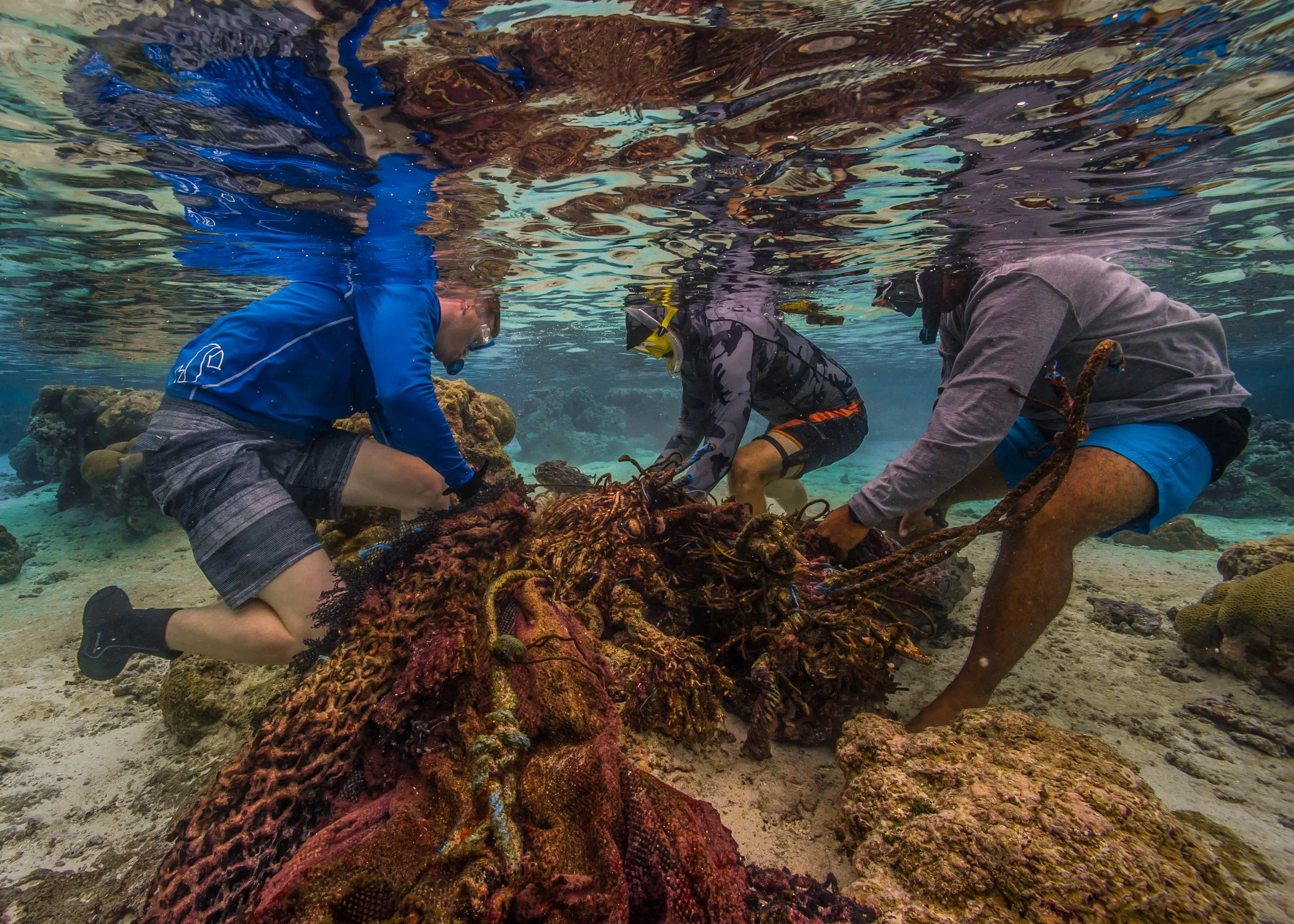 OceanImageBank_ShaunWolfe_02.jpg