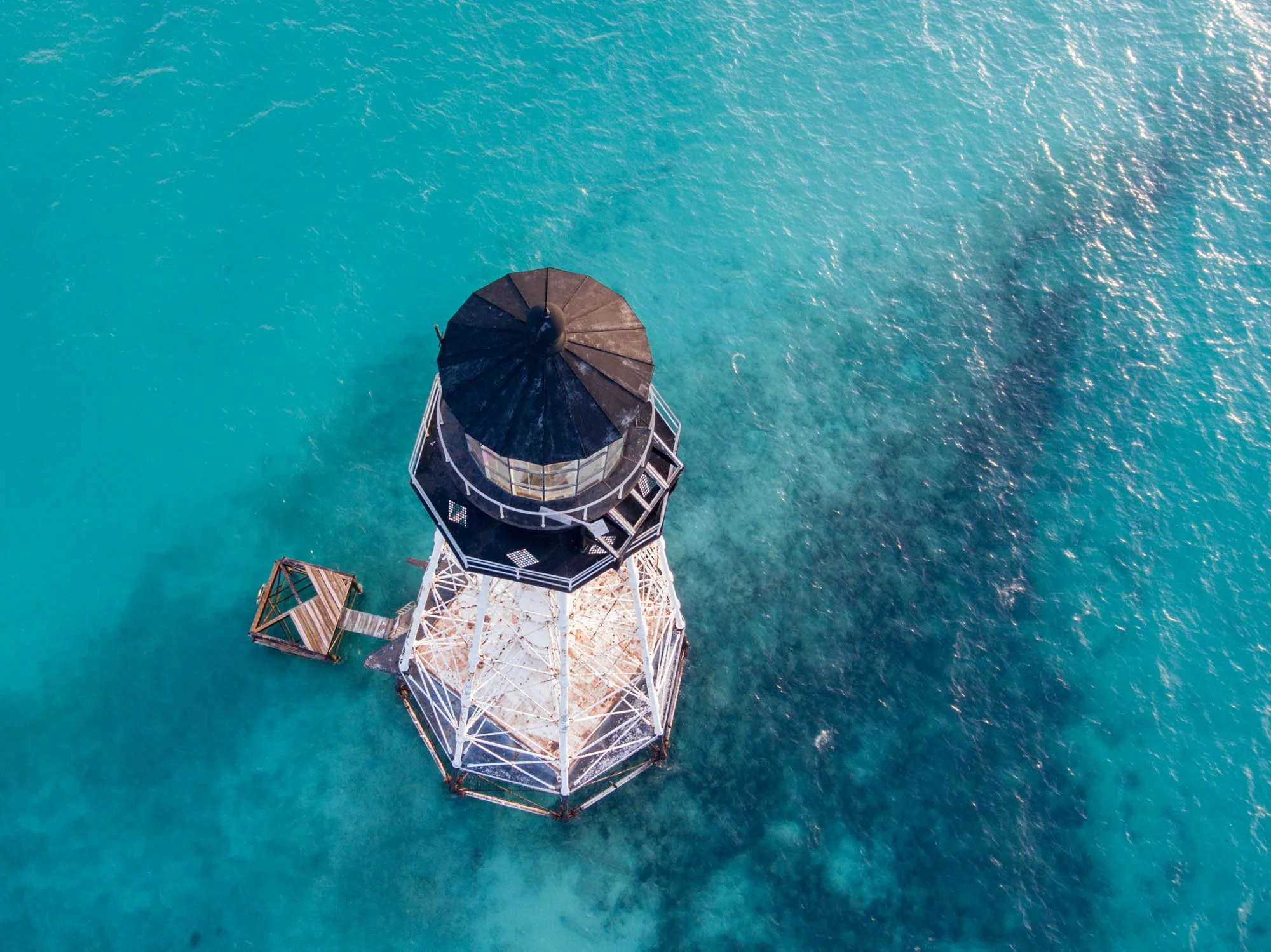 OceanImageBank_DavidGross_02.jpg