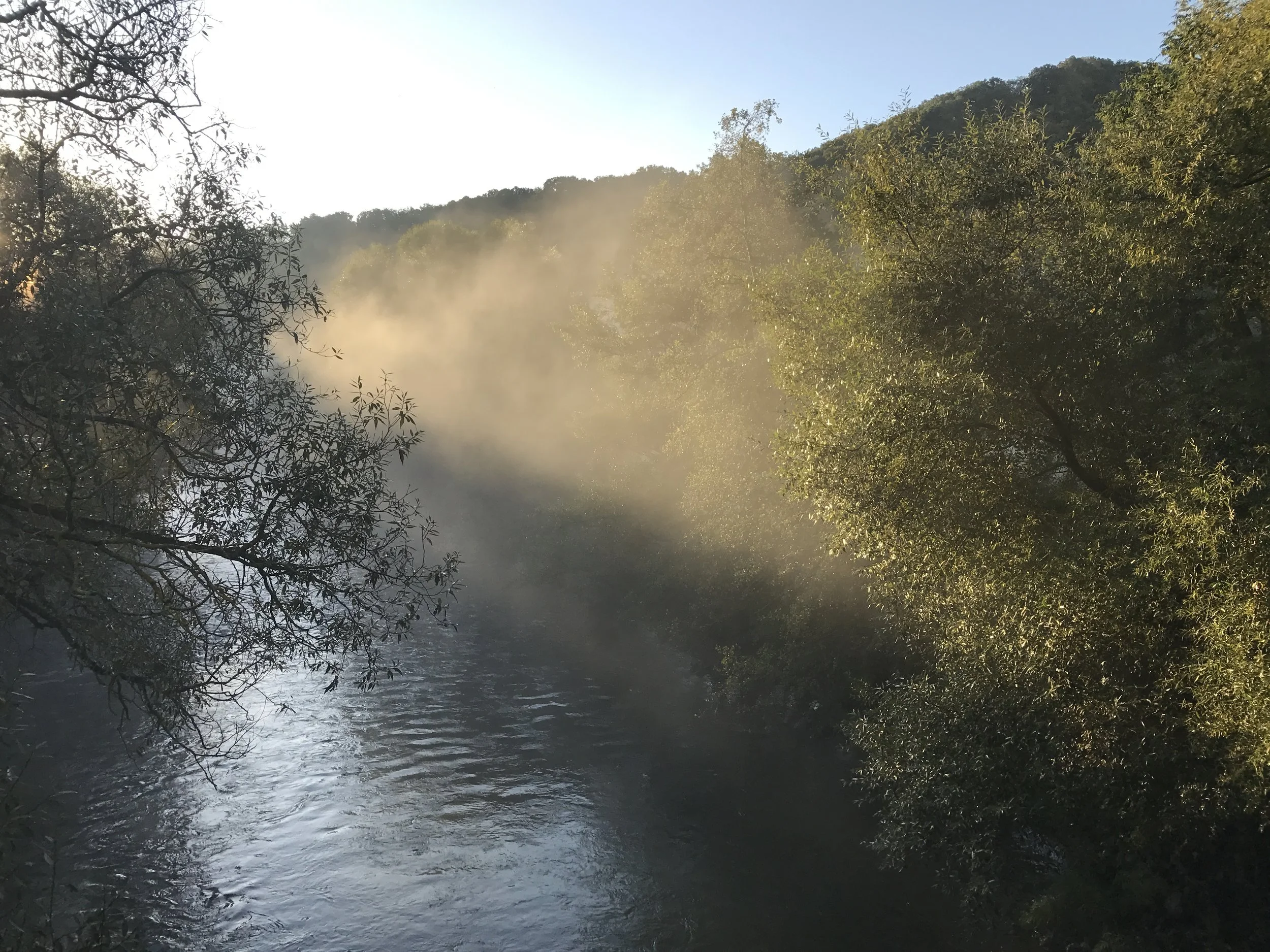 Everything is shimmering