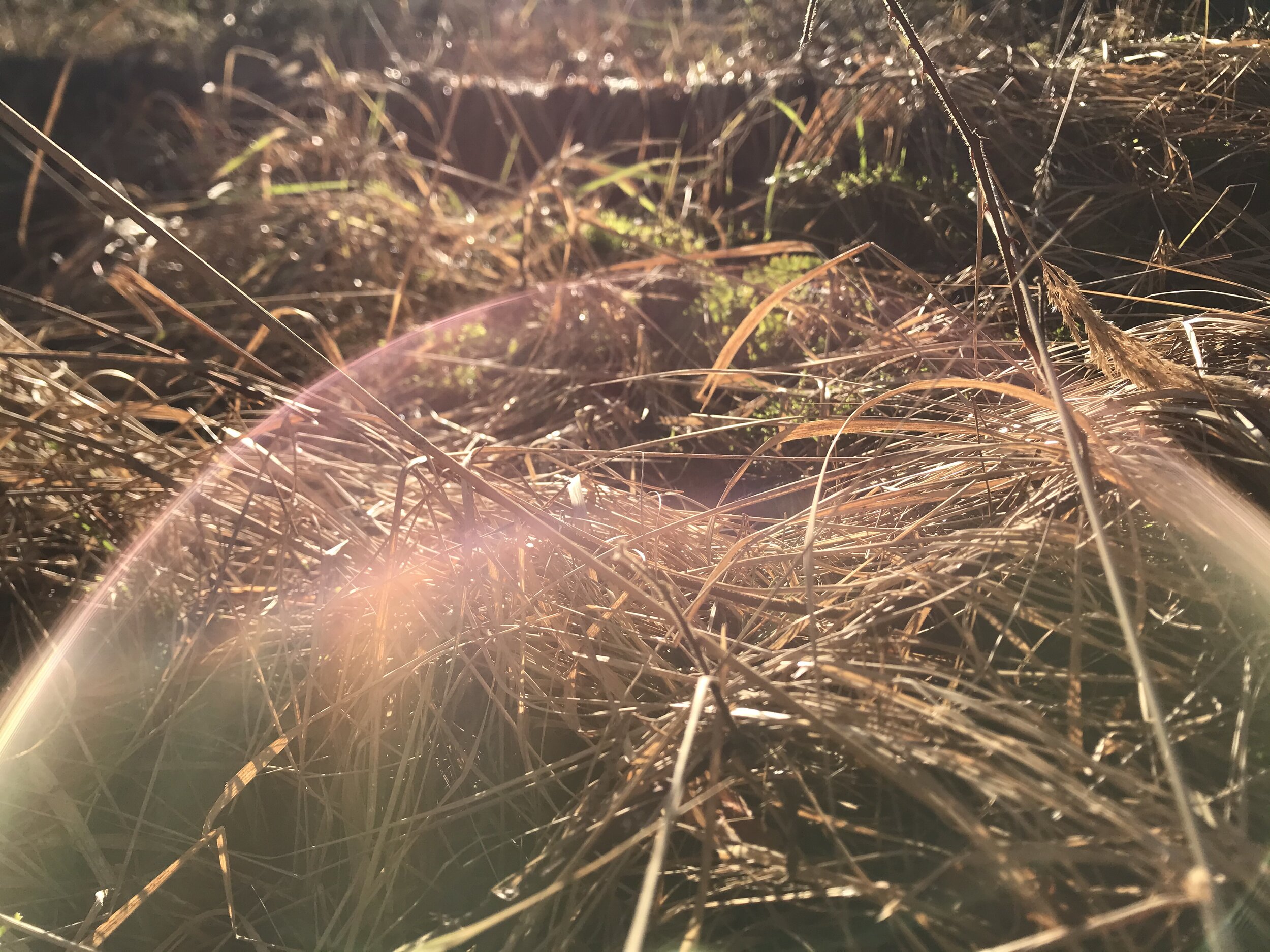 Am I more interested in my phone ... than in my sense of self? Part 1