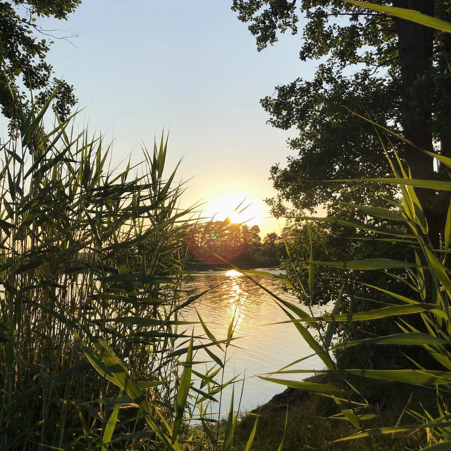 ~
~
~
~
~
listening 
~
~
~
seeing ~ hearing ~ receiving ~ sharing ~ sensing ~ reciprocity ~ belonging ~ being in conversation ~ in what way am I part of this (nonverbal) conversation? 
~
~
~
love love
Susanne