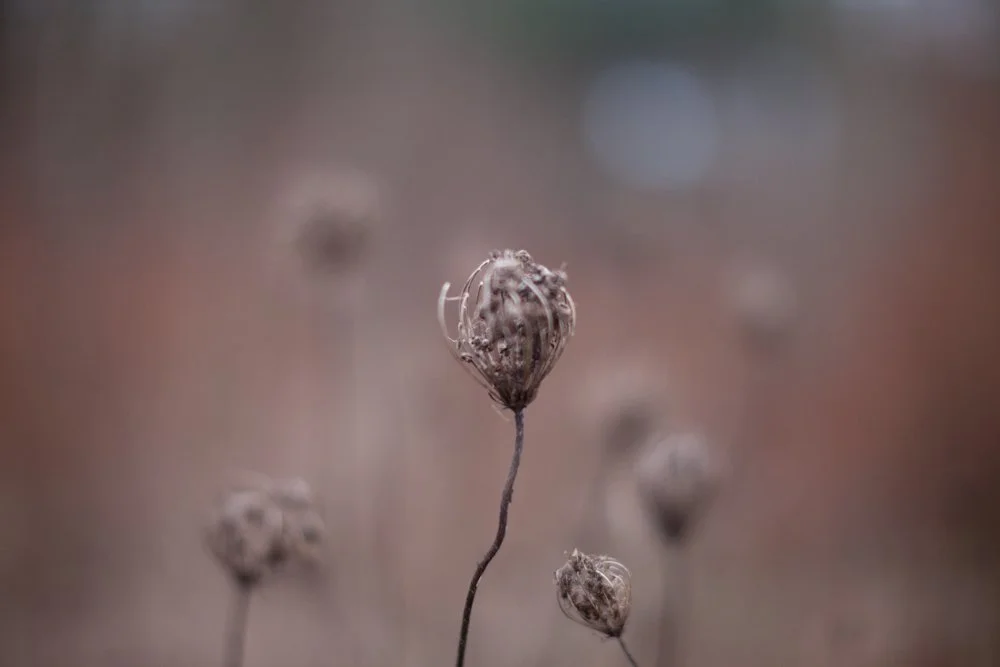 Winter (1 von 1).jpg