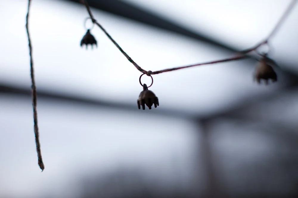 Glöckchen (1 von 1).jpg