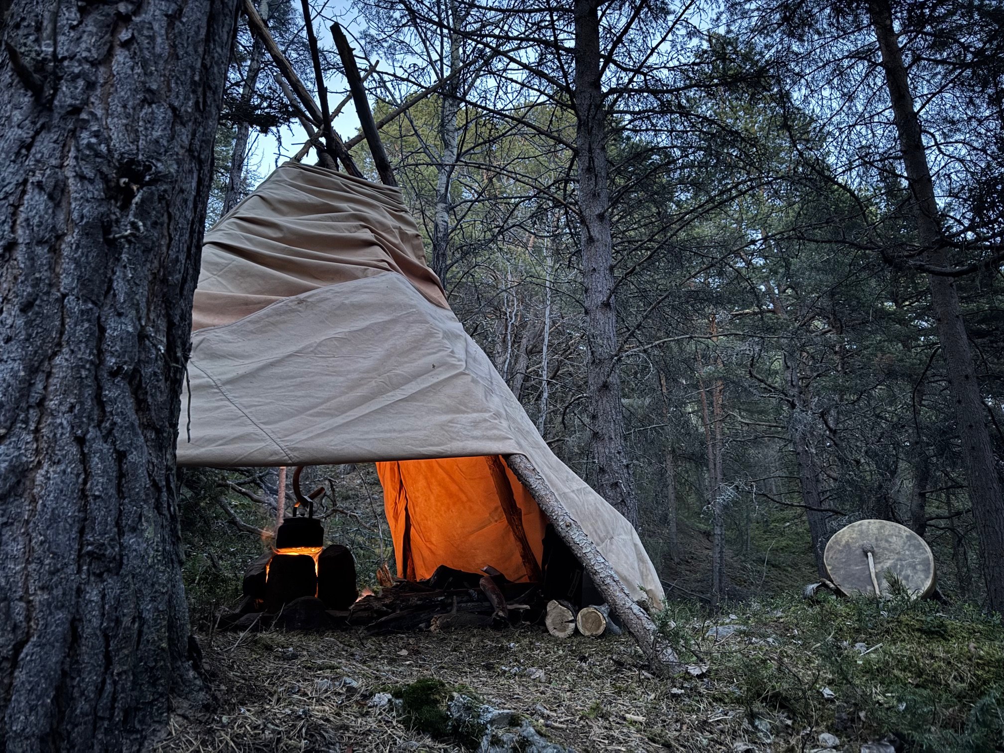 Vision Quest (Stalking Wolf) - Norway