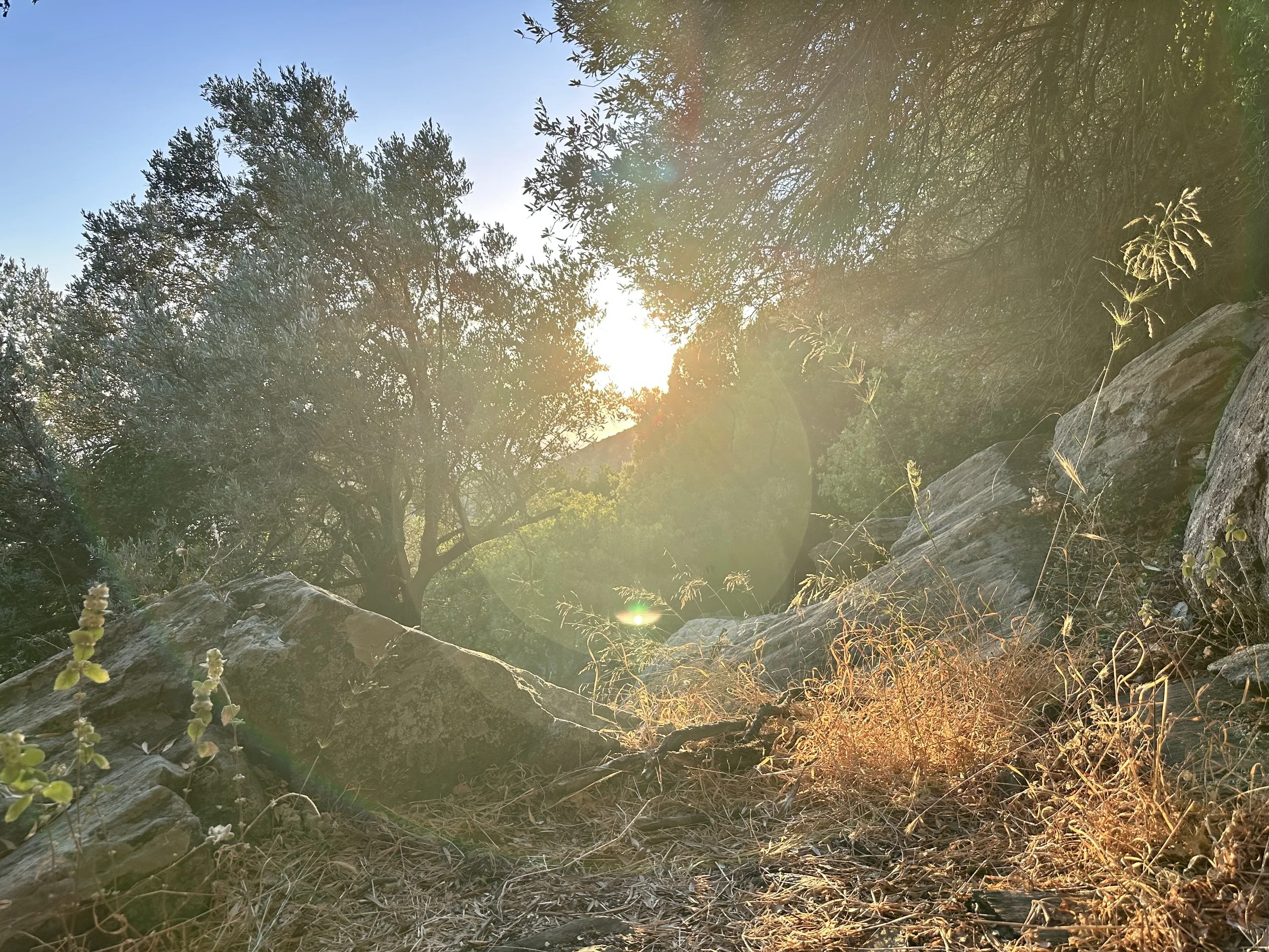 Vision Quest (Stalking Wolf) - Andros or Germany