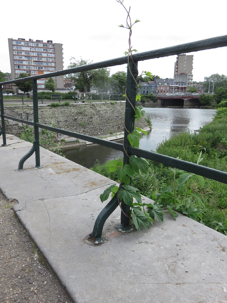 Ancien pont levant Chênée.jpg