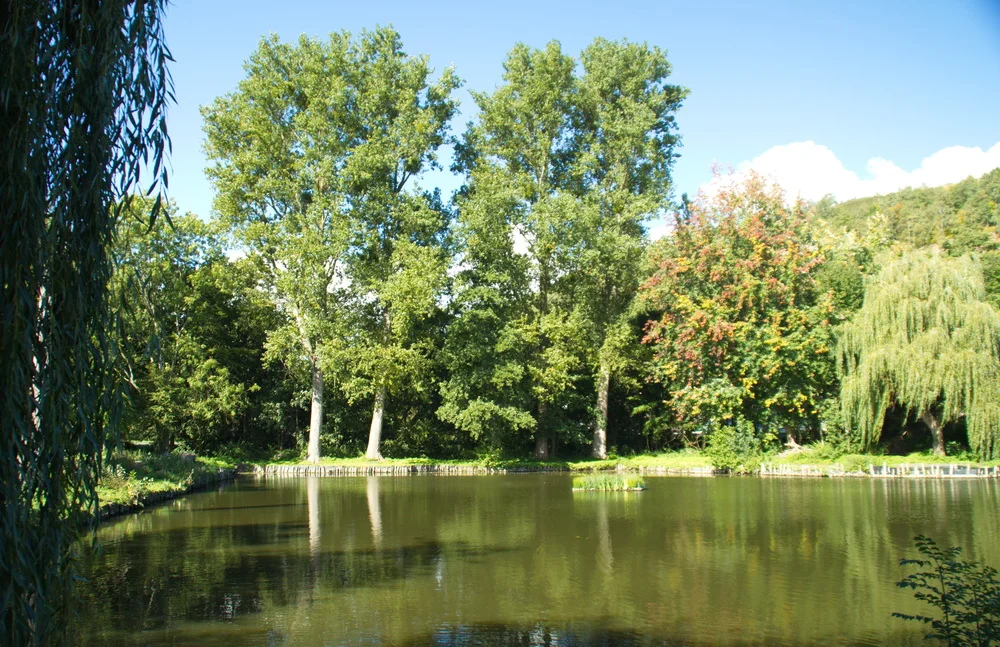 20 angelweiher-001.jpg