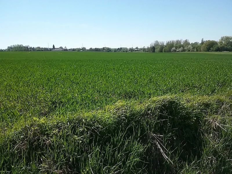 20180419_143635.jpg