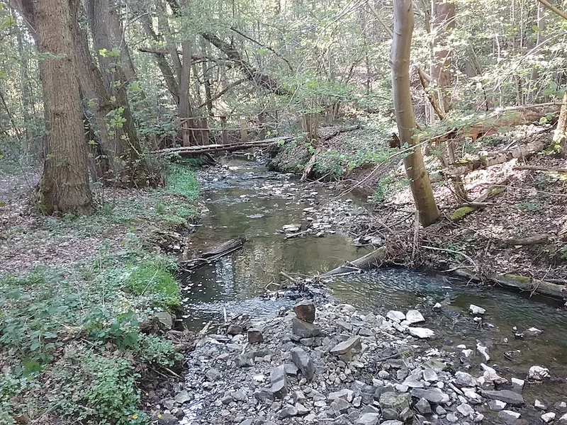 20180419_171914.jpg