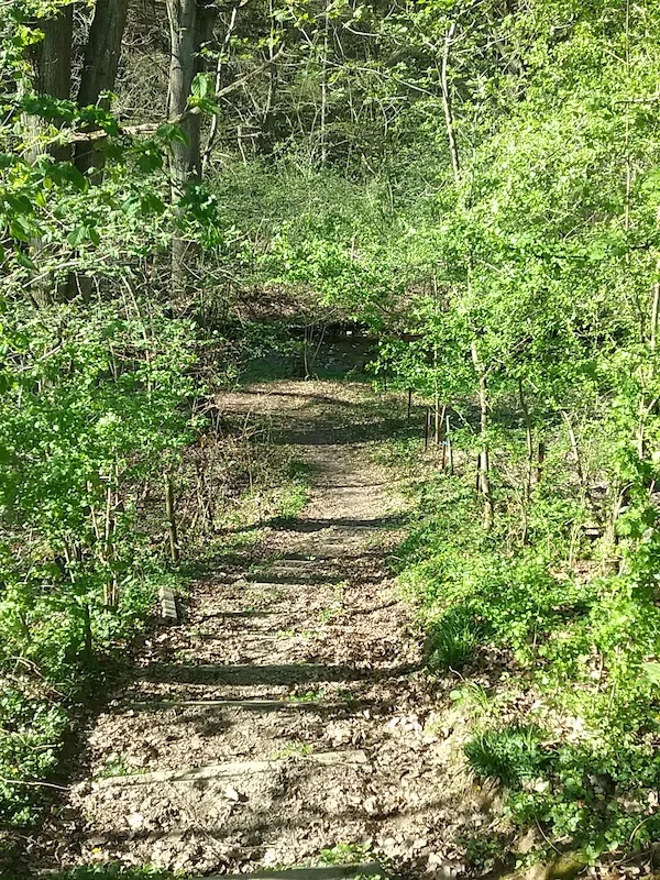 20180419_172058.jpg