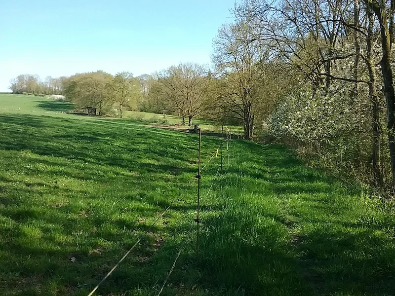 20180419_172415.jpg