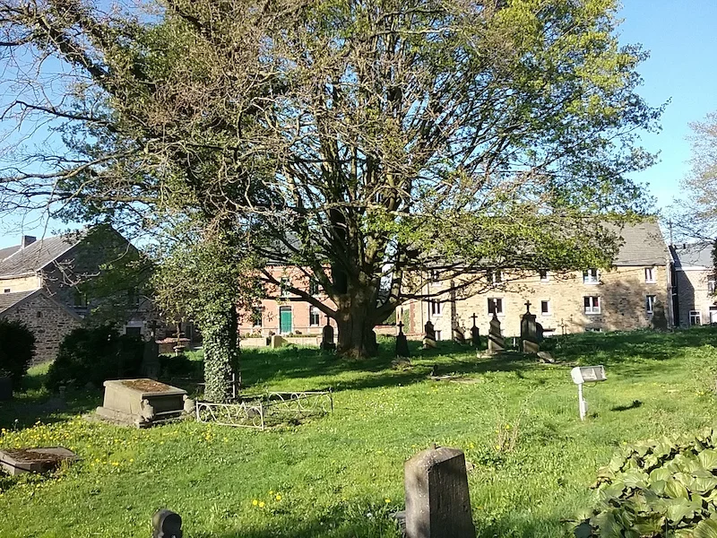 20180419_175907.jpg