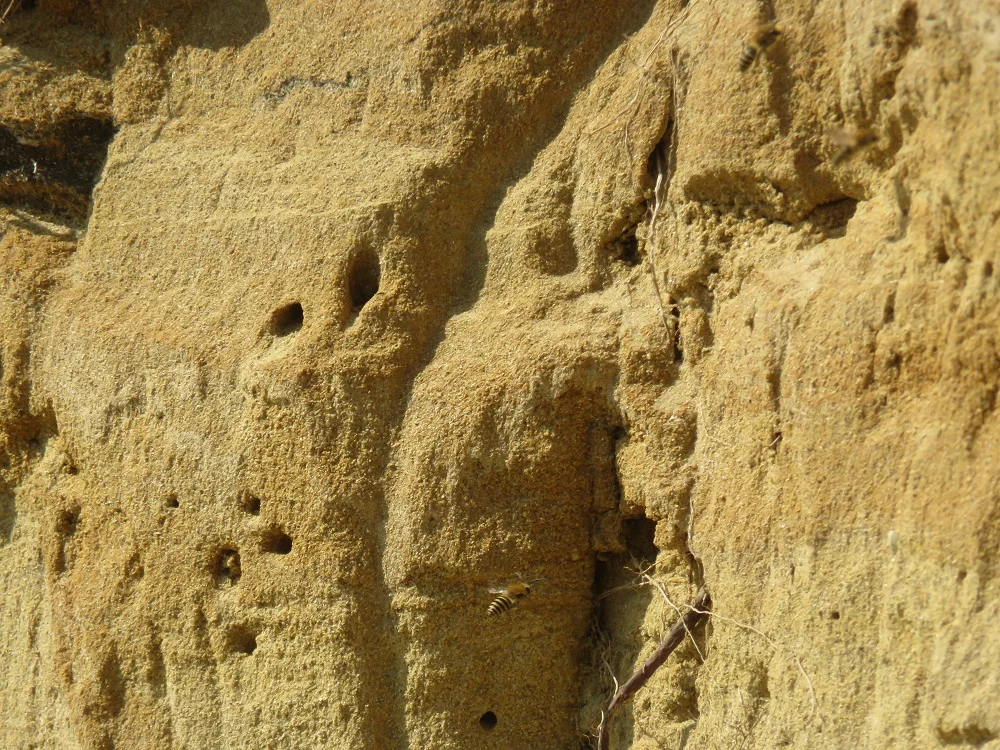 parois sableuse.jpg