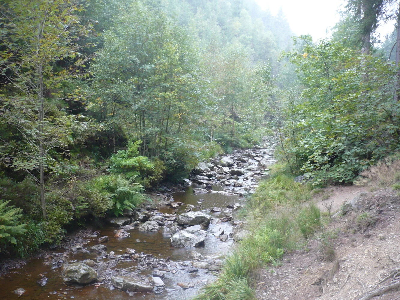 Le Bayehon encaissé.JPG