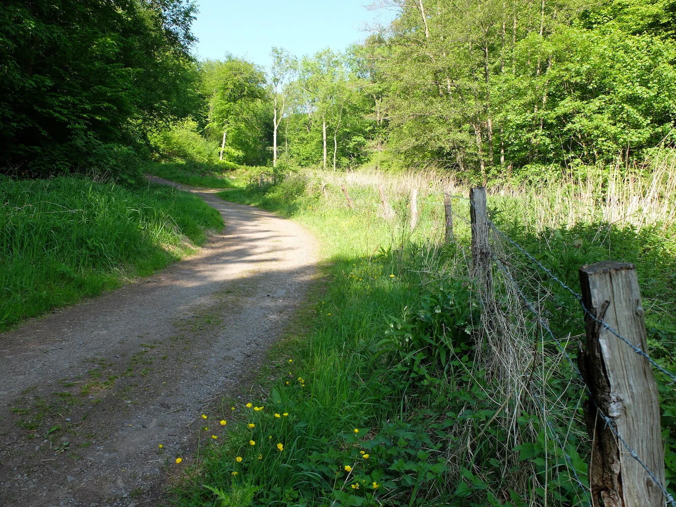 1 Pairie du Moulin de Colonster.JPG