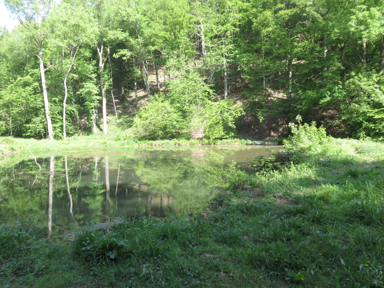 2 Etang Blanc Gravier.JPG