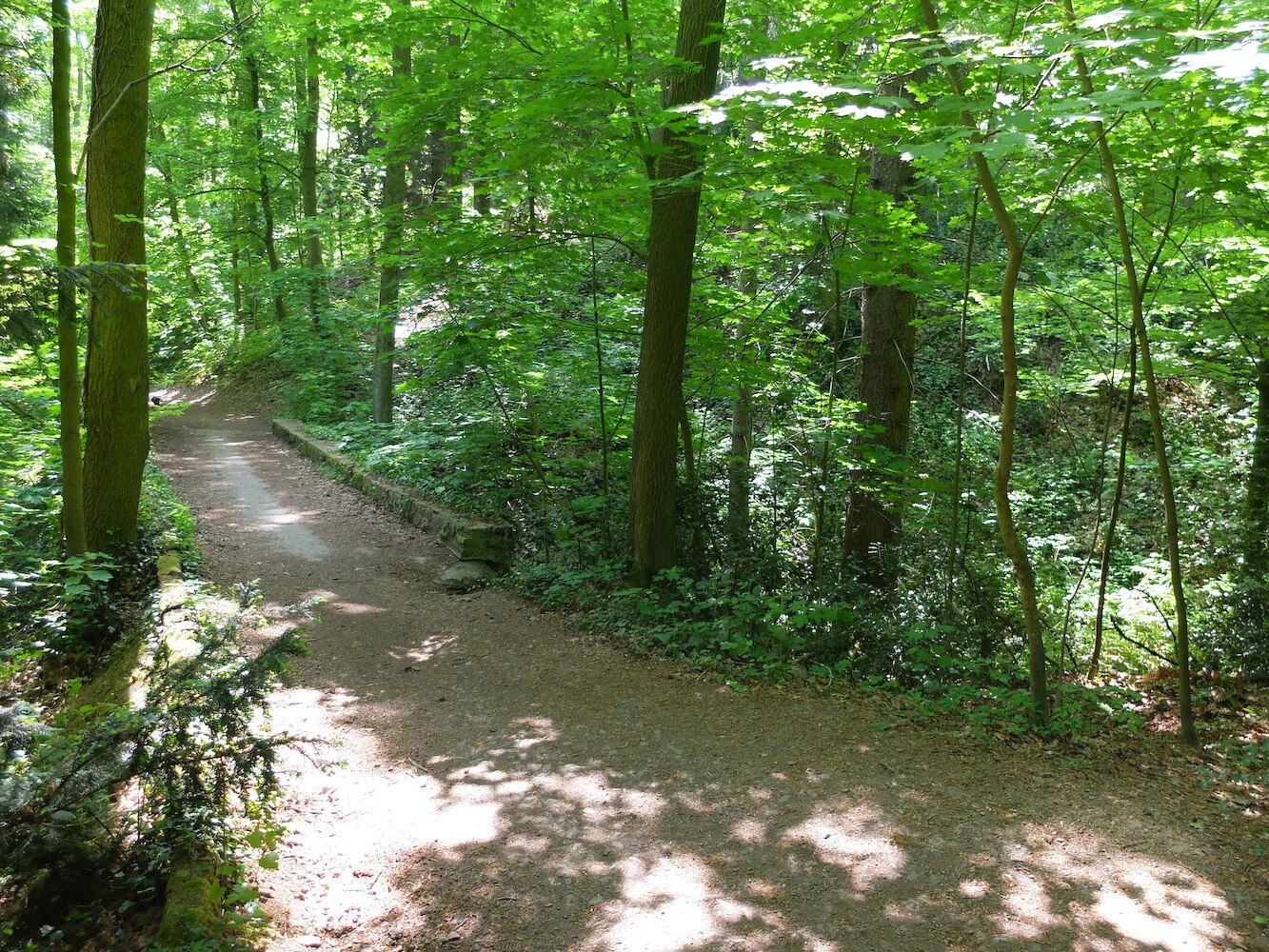 6 Pont sur le Parson.JPG