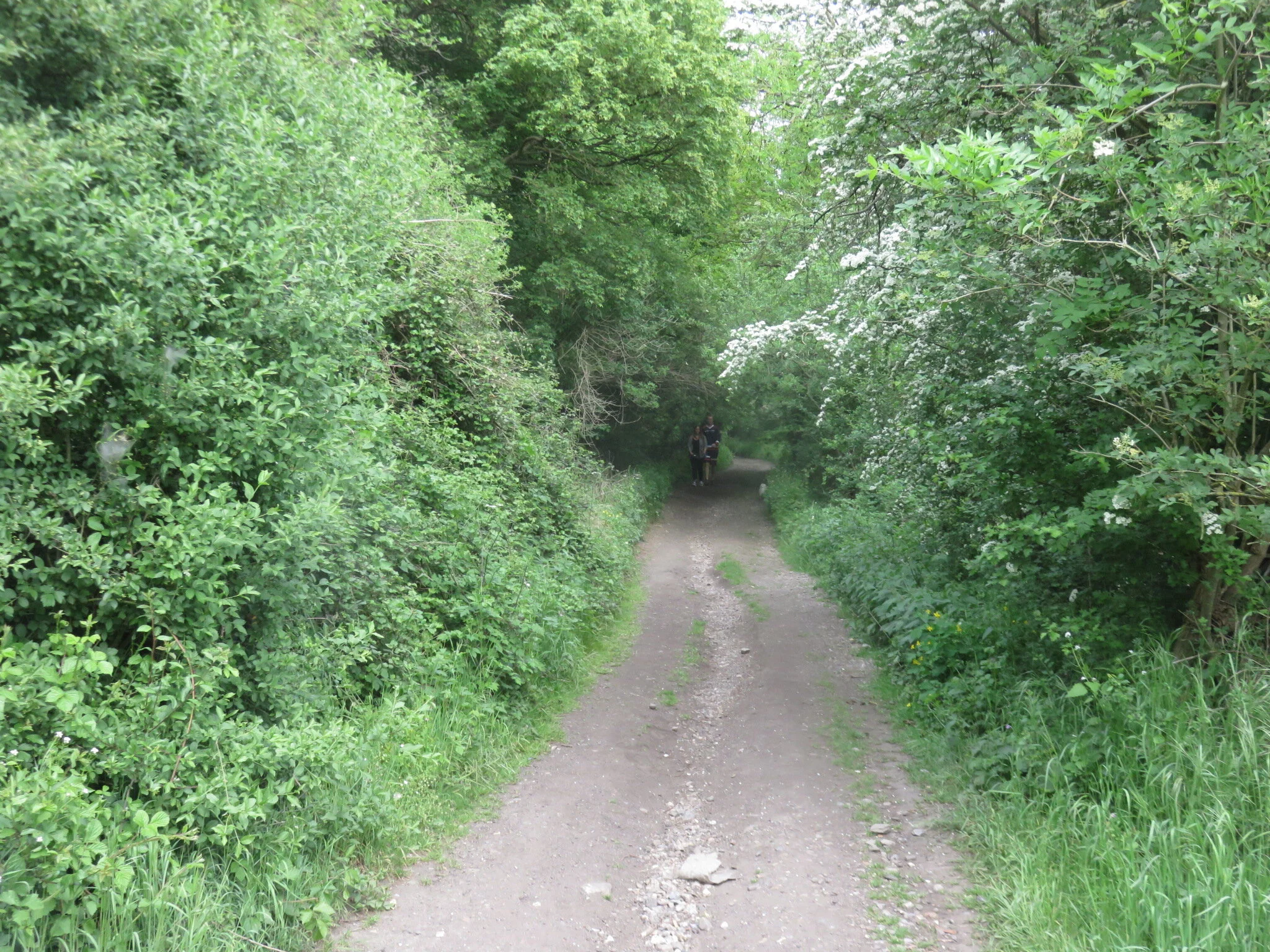 3 ancienne voie du vicinal.JPG