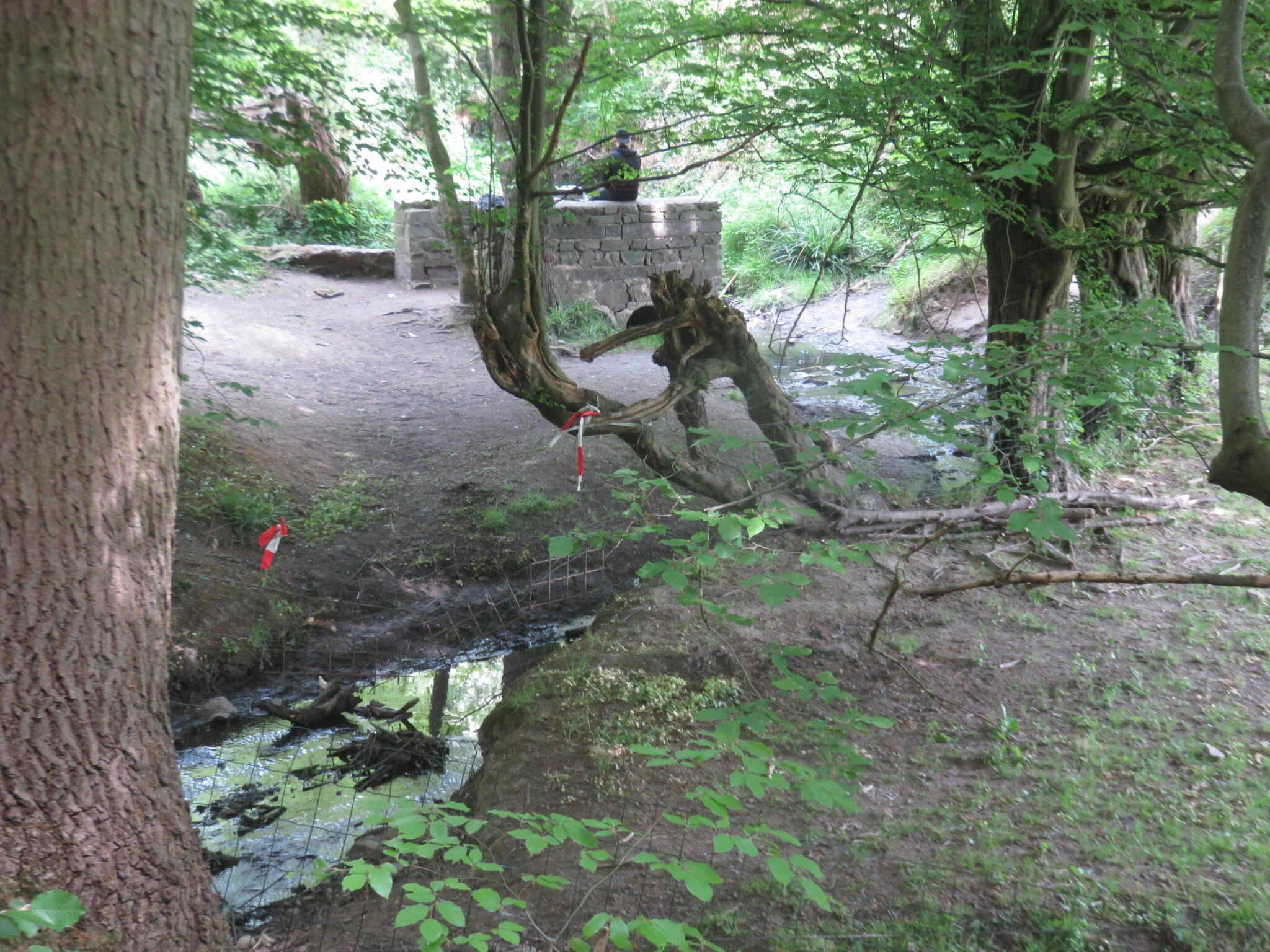 4 ruines du pont sur le Coy.JPG