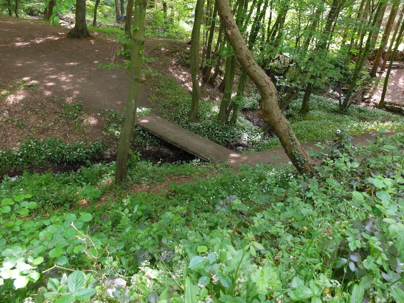 5 Pont sur le Coy vers Bellaire.JPG