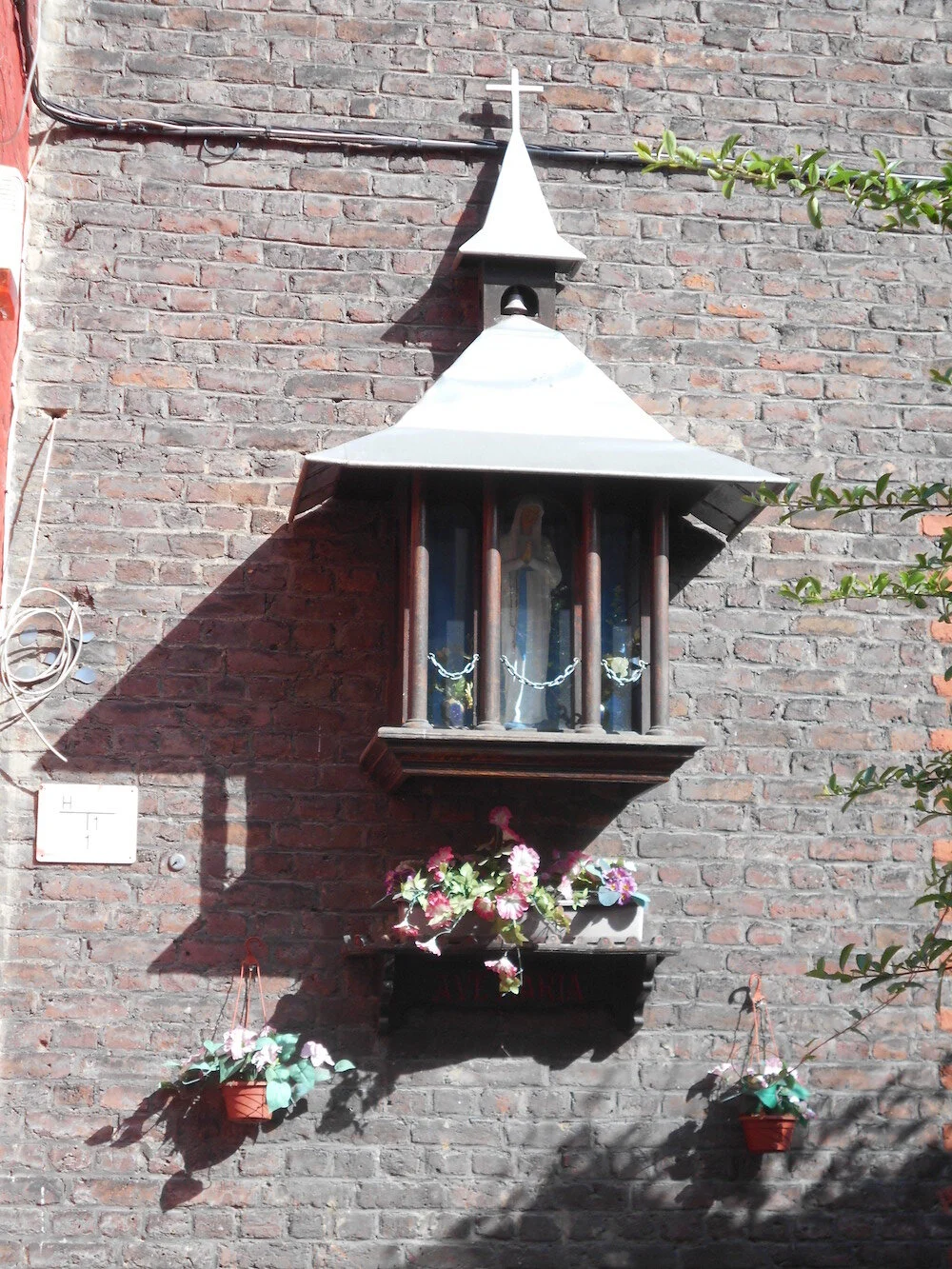 DSCN0200.JPG