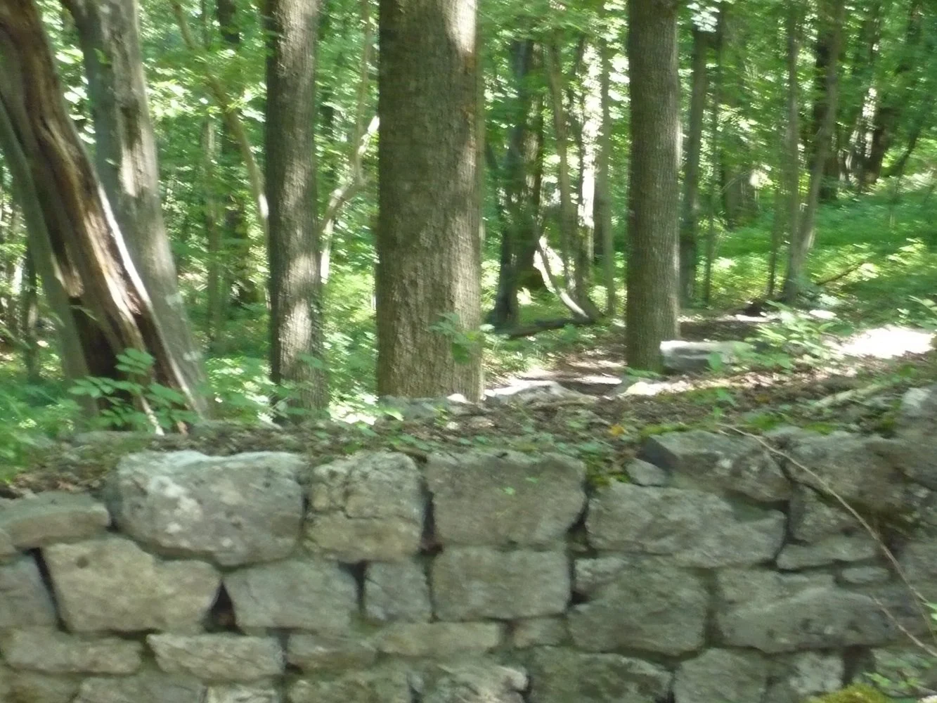 Ruines Vieux Jardin.JPG