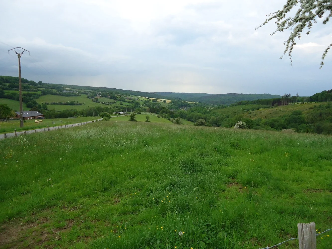 Dimanche 24 04 2022 - 1-1.JPG