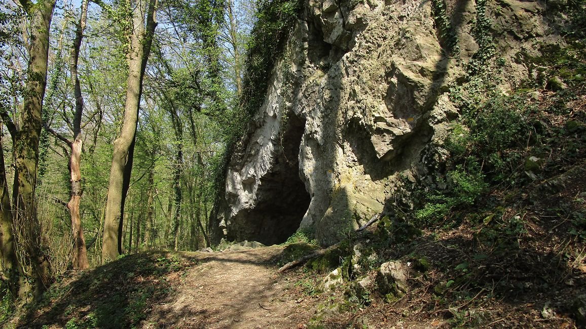 20200409 012.jpg