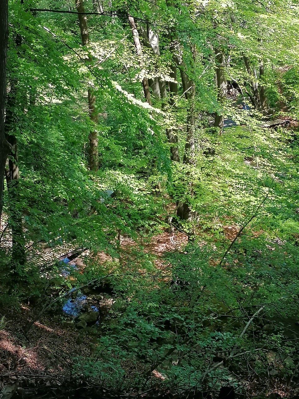 IMG_20210530_111418 Large.jpeg