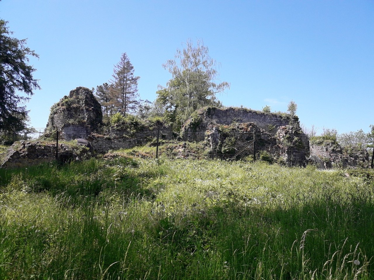 20210602_125338 Large.jpeg