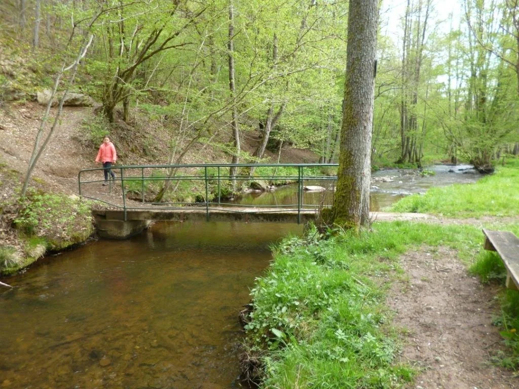 23-05-2021 passerelle sur le Bâleur au Pouhon.JPG