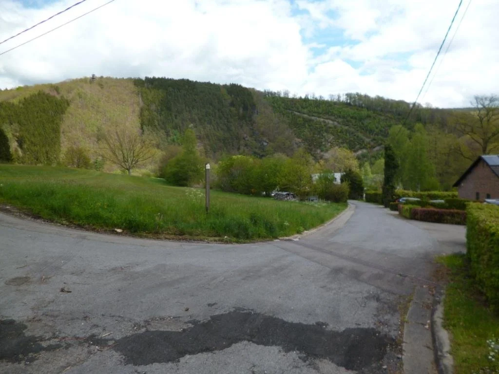 23-05-2021 vue vallée Salm depuis Chemin de Bergeval à Trois-Ponts.JPG