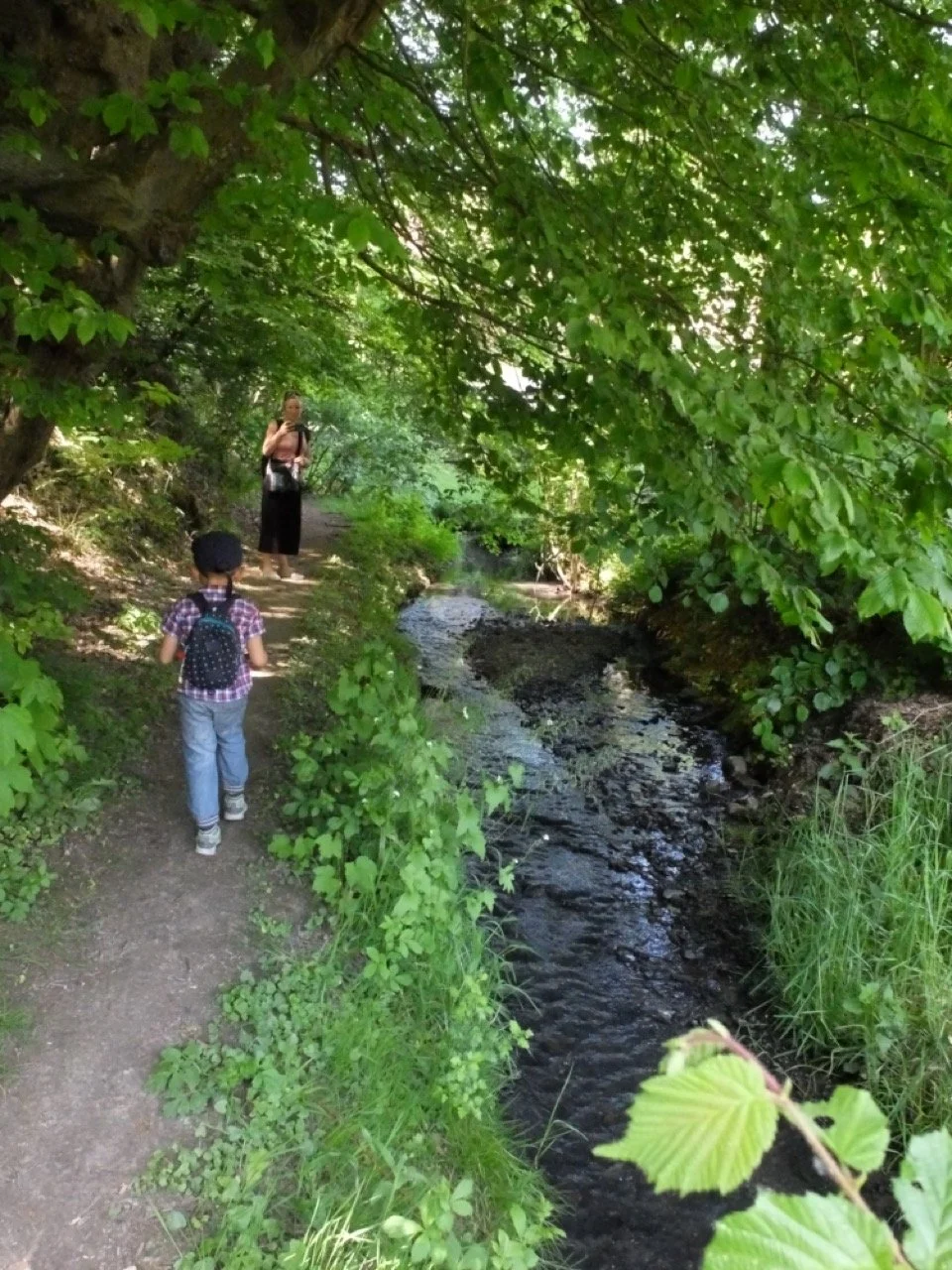 ATTENTION ! Petit mot de la guide du jour - Belle randonnée riche en ...